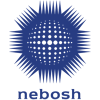 https://ape.ignitedigitalproject.com/wp-content/uploads/2024/08/nebosh-logo.png